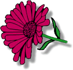  Zur Homepage Die Blumenwerkstatt''